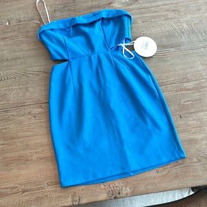 NWT princess Polly Alaska strapless mini dress on blue